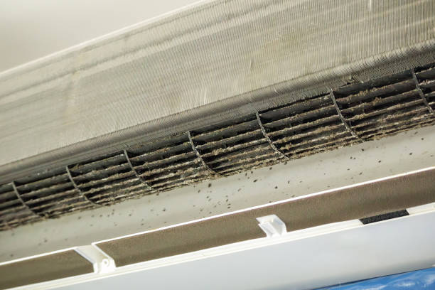 Best Air Duct Cleaning Near Me  in Waianae, HI