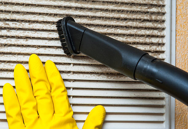 Best Ductwork Cleaning Services  in Waianae, HI