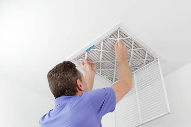 Best Air Duct Sanitizing Services  in Waianae, HI